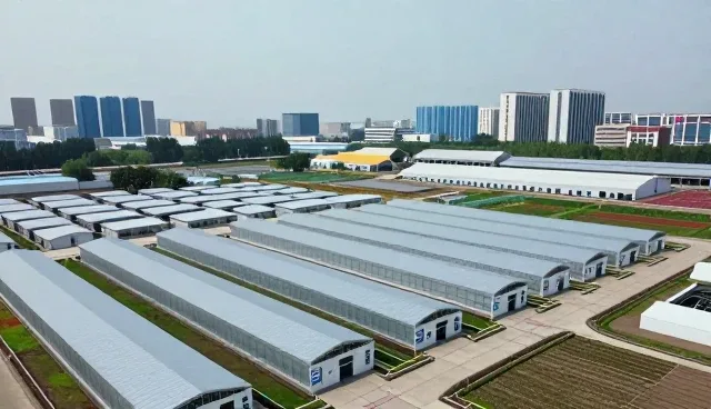 康复流程数字化转型中的健康咨询新角色